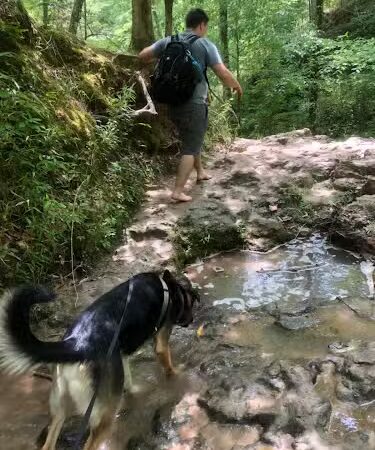 Clark Creek Hiking Trail - Woodville, MS