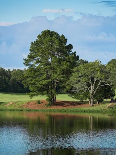 Wilkinson County Park - Woodville, MS