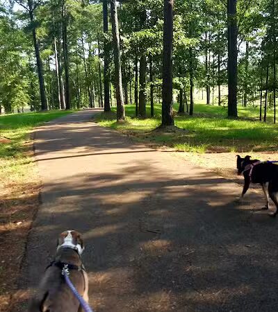 Wilkinson County Park - Woodville, MS