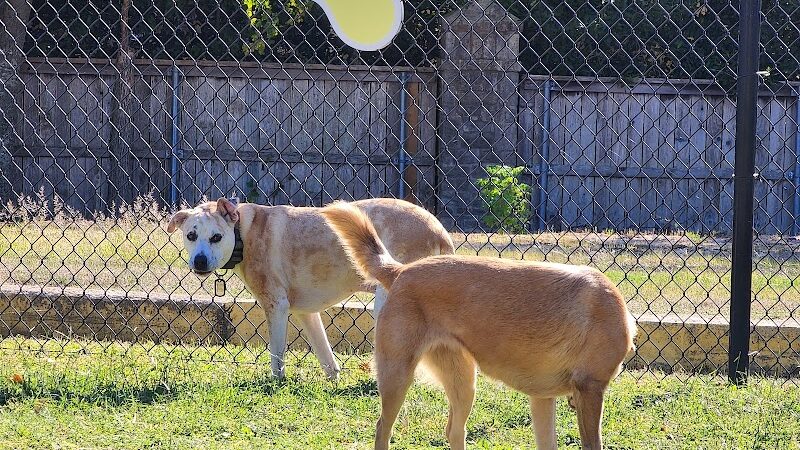 Woof Way Dog Park - Woodway, TX