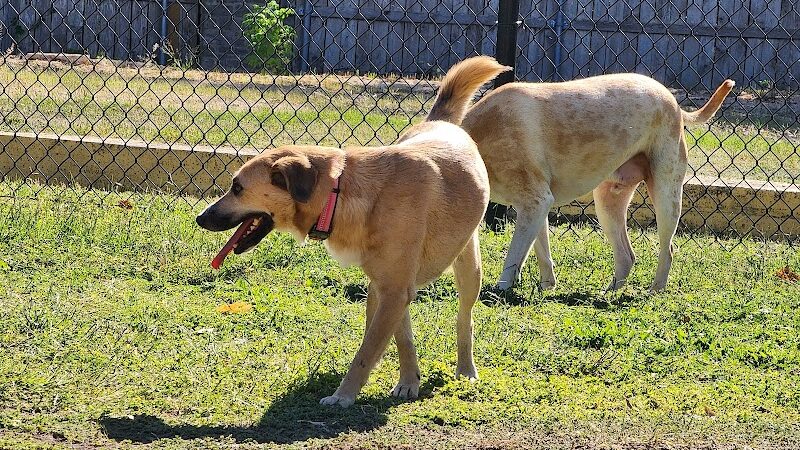 Woof Way Dog Park - Woodway, TX