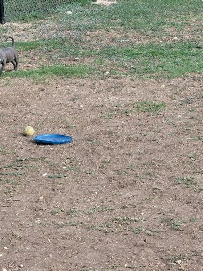 Woof Way Dog Park - Woodway, TX