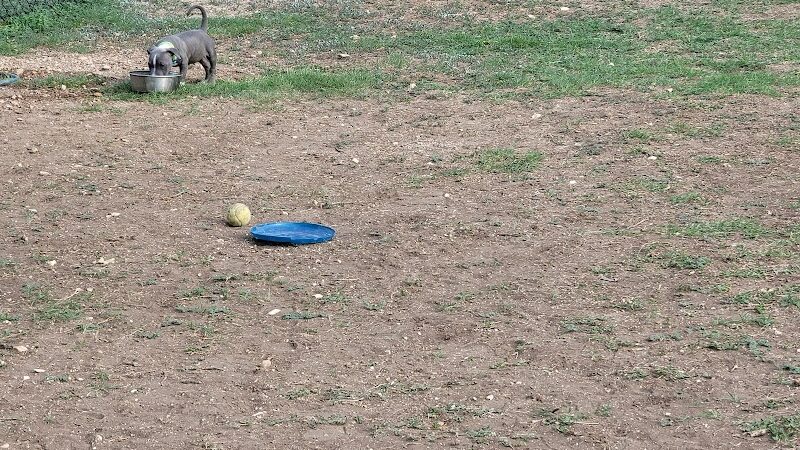 Woof Way Dog Park - Woodway, TX