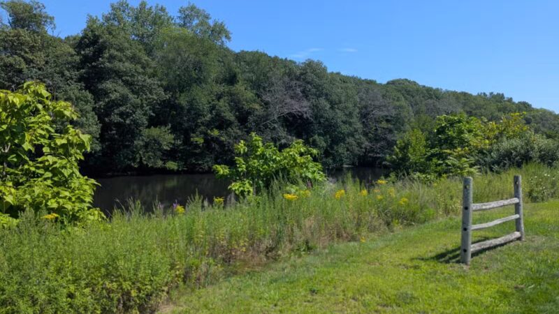 Dog Park at River’s Edge - Woonsocket, RI