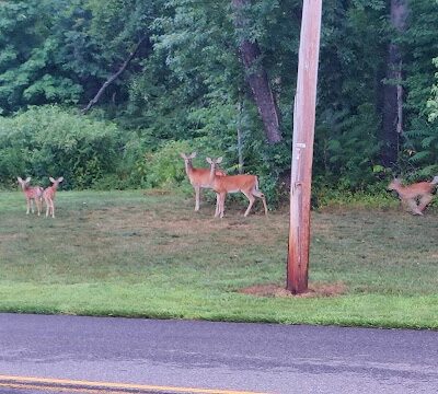 Green Acres Park - Wrightstown, NJ