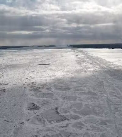 Bishop Park - Wyandotte,