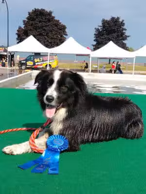 Bishop Park - Wyandotte,