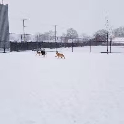 Wyandotte Dog Park - Wyandotte,