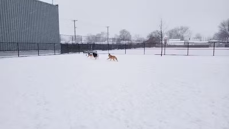 Wyandotte Dog Park - Wyandotte,