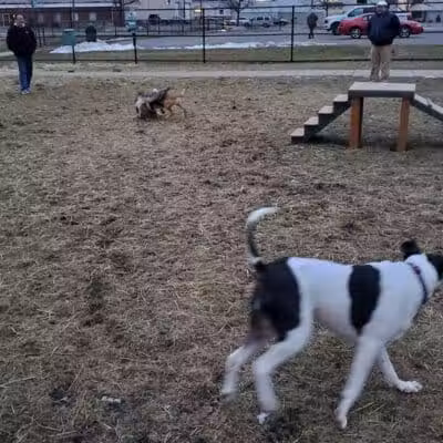 Wyandotte Dog Park - Wyandotte,