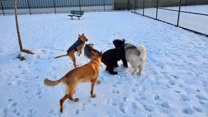 Wyandotte Dog Park - Wyandotte,