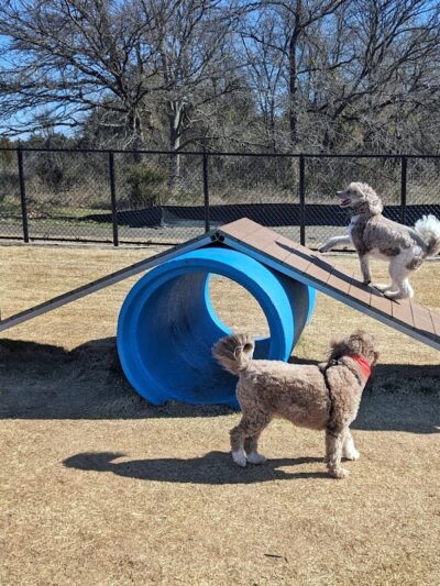 Prairie Tails Dog Park - Wylie, TX