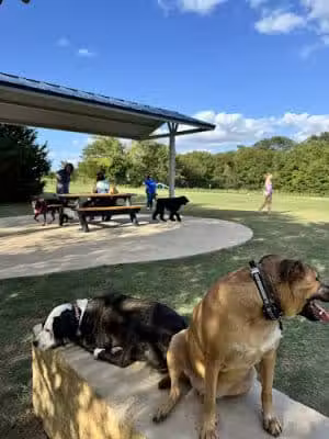 Prairie Tails Dog Park - Wylie, TX