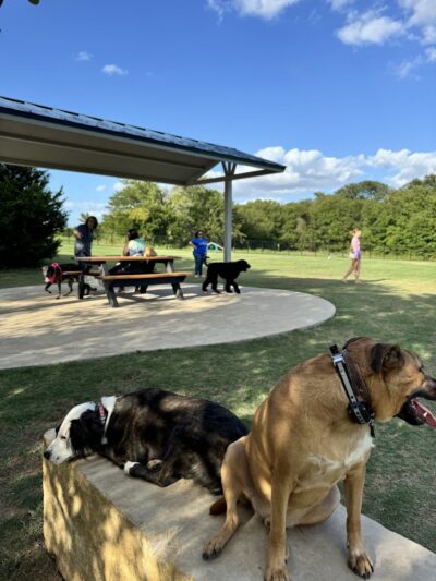 Prairie Tails Dog Park - Wylie, TX