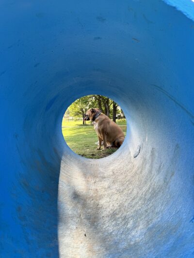 Prairie Tails Dog Park - Wylie, TX
