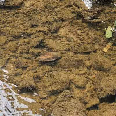 Yale City Park - Yale,