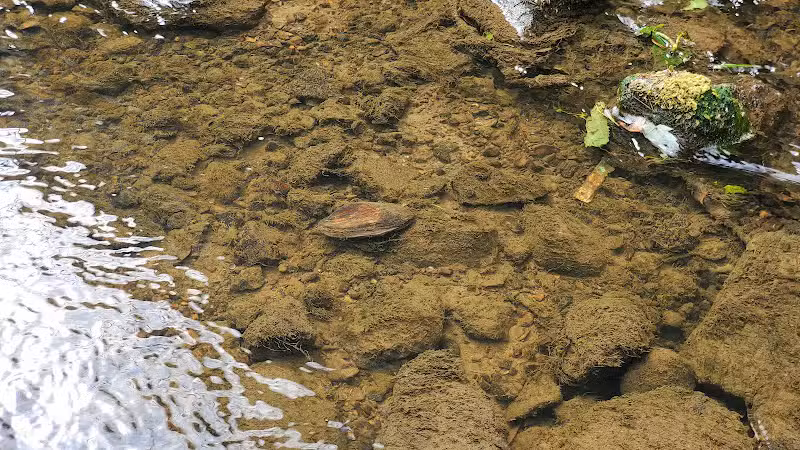 Yale City Park - Yale,