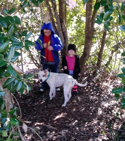 Lincoln Park - York, SC