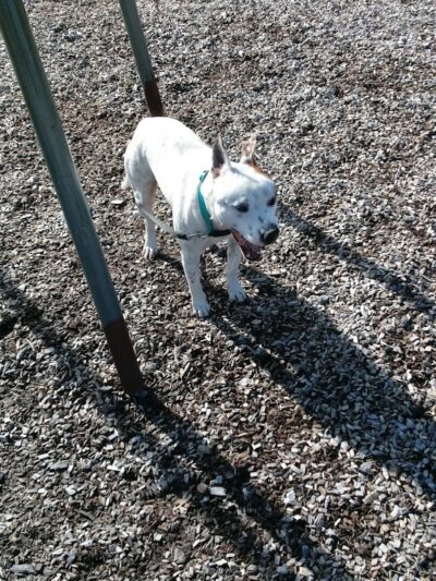 Lincoln Park - York, SC