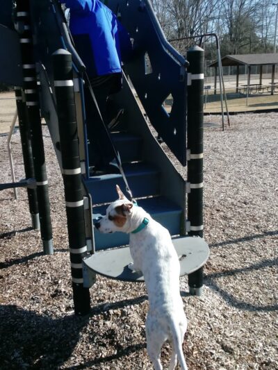 Lincoln Park - York, SC