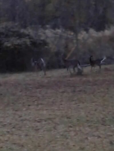 Magnolia Street Park - York, SC