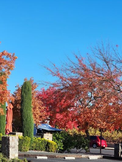 Veterans Park - Yountville, CA