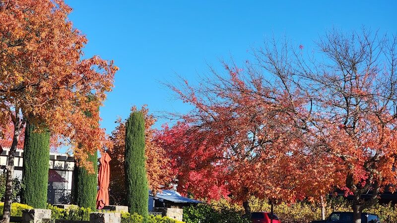 Veterans Park - Yountville, CA
