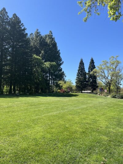 Veterans Park - Yountville, CA