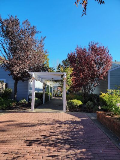 Veterans Park - Yountville, CA