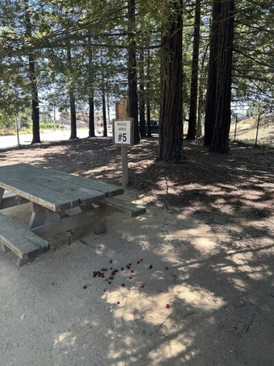 Veterans Park - Yountville, CA