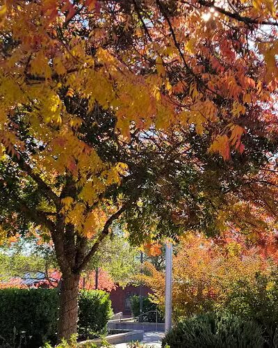 Veterans Park - Yountville, CA