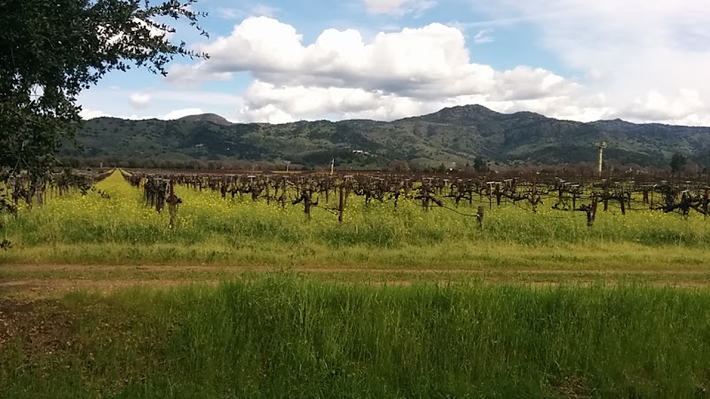 Yountville Park - Yountville, CA