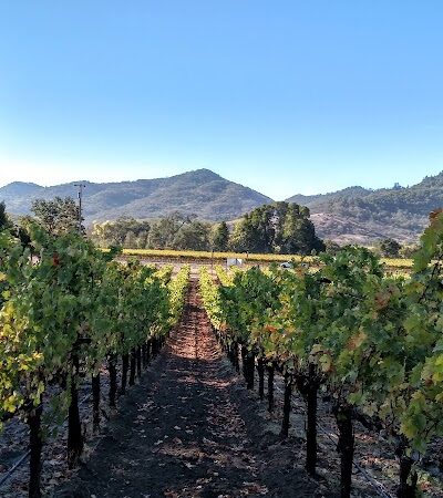 Yountville Park - Yountville, CA