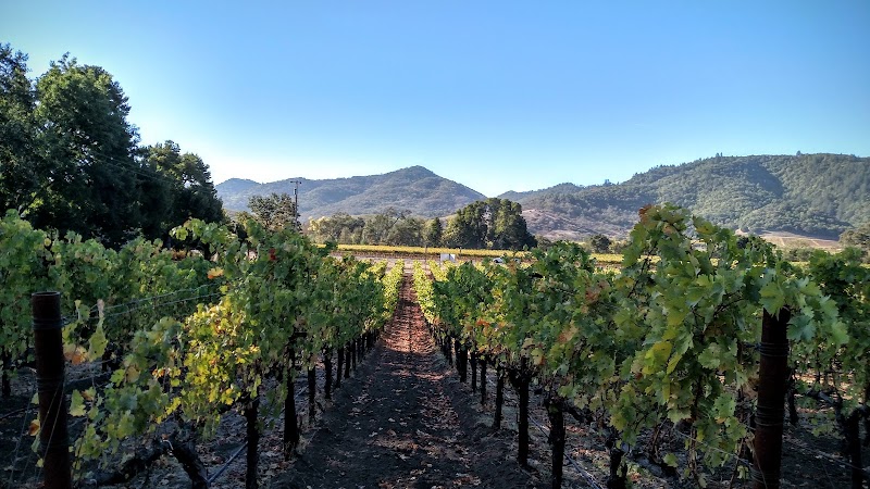 Yountville Park - Yountville, CA