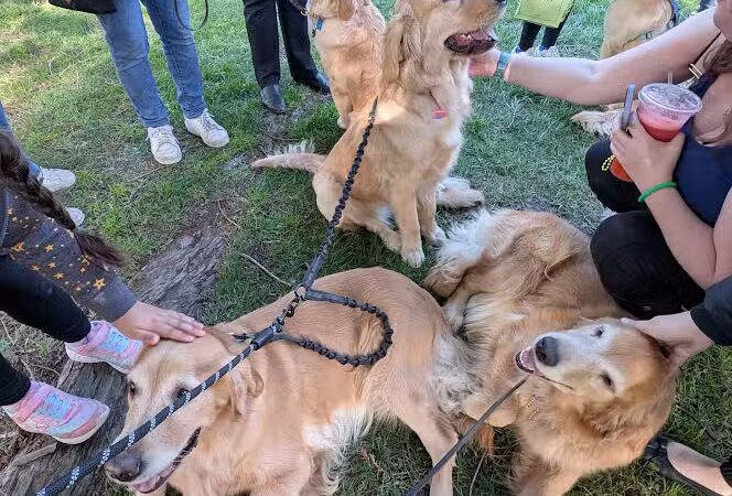 Yountville Park - Yountville, CA