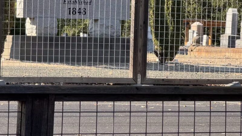 Yountville Park - Yountville, CA