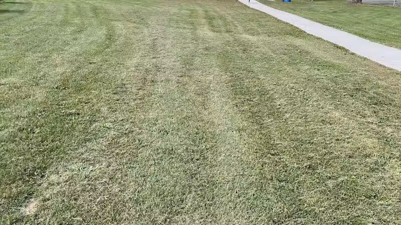 Candy Cane Park - Ypsilanti,