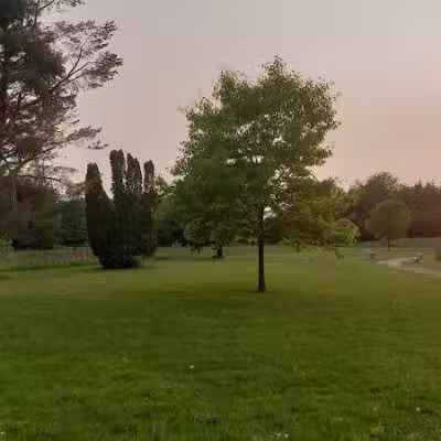 Hickory Woods Park - Ypsilanti,