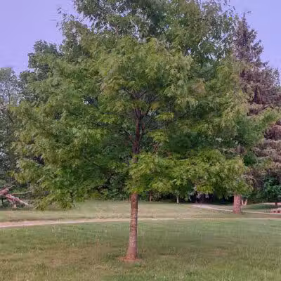 Hickory Woods Park - Ypsilanti,