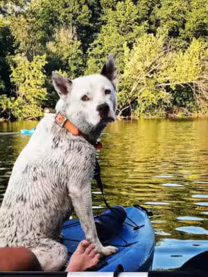 Riverside Park - Ypsilanti,