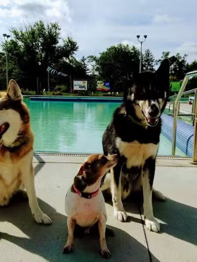 Recreation Park - Ypsilanti,