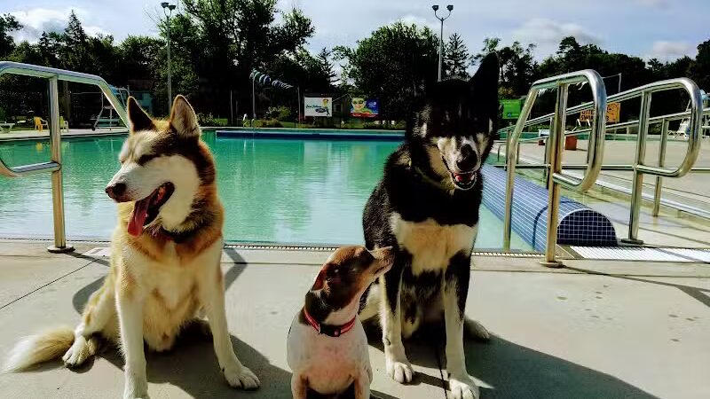 Recreation Park - Ypsilanti,