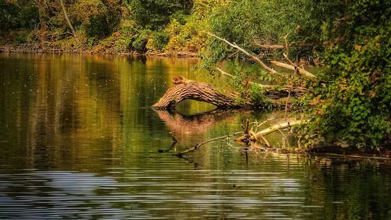 Recreation Park - Ypsilanti,