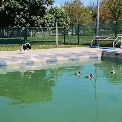 Recreation Park - Ypsilanti,