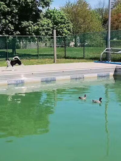 Recreation Park - Ypsilanti,