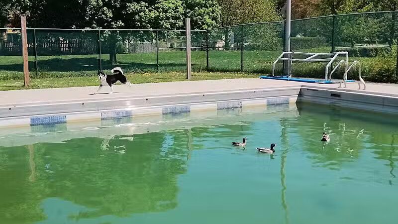 Recreation Park - Ypsilanti,