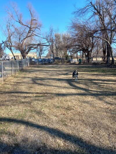 Pets and People Dog Park - Yukon, OK