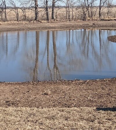 Pets and People Dog Park - Yukon, OK