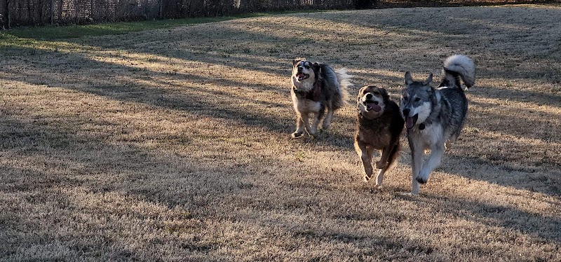Pets and People Dog Park - Yukon, OK