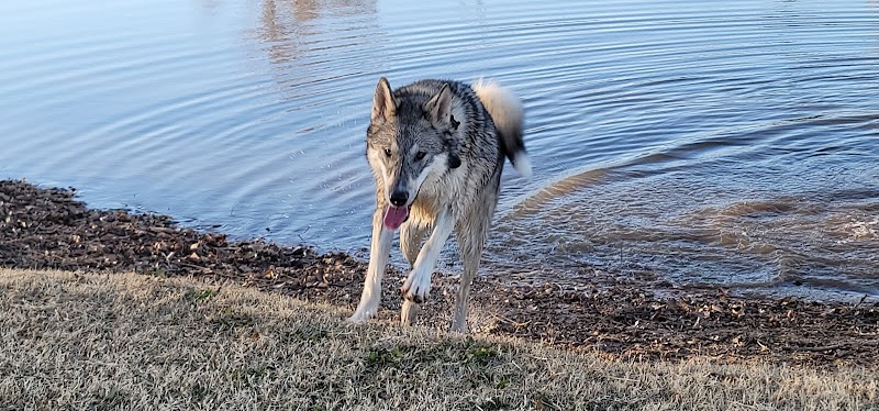 Pets and People Dog Park - Yukon, OK
